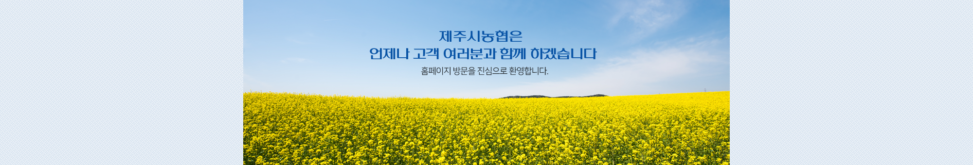 visual 2